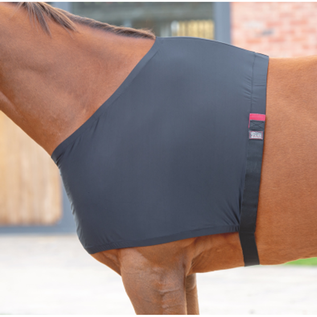 Shires Anti-Rub Stretch Vest