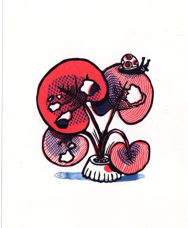 PLante 3 couleurs et escargot (rouge)