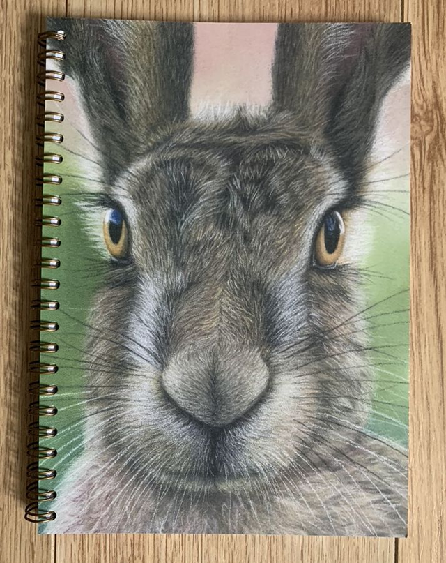 2026 Diary - Hare Brained - A5