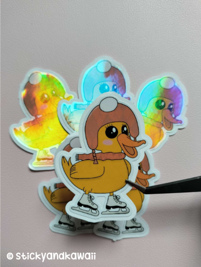 Toin toin le canard patin