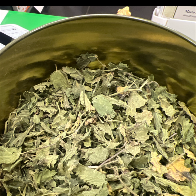 Ortica foglie Biologica 50 gr. 