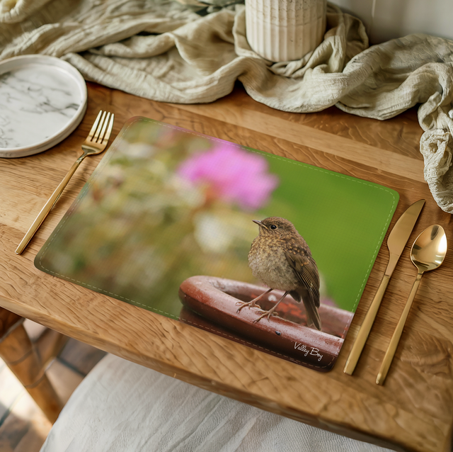 “Baby Robin” Placemat 