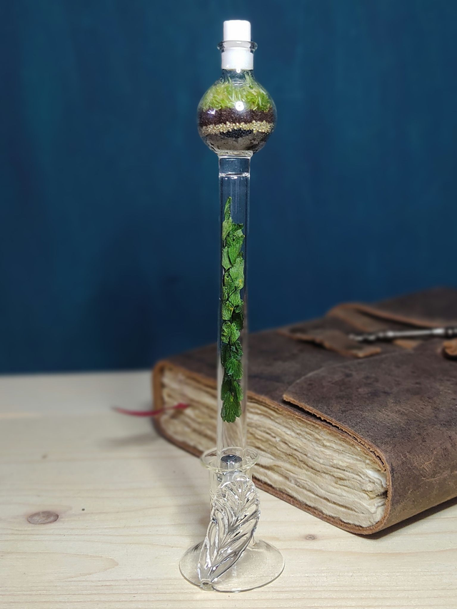 Crayon Éternel Terrarium