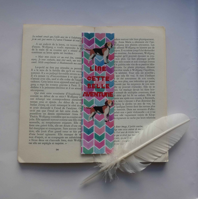 Lire cette belle aventure