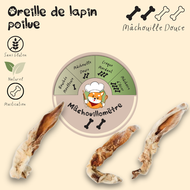 Oreille de lapin poilue