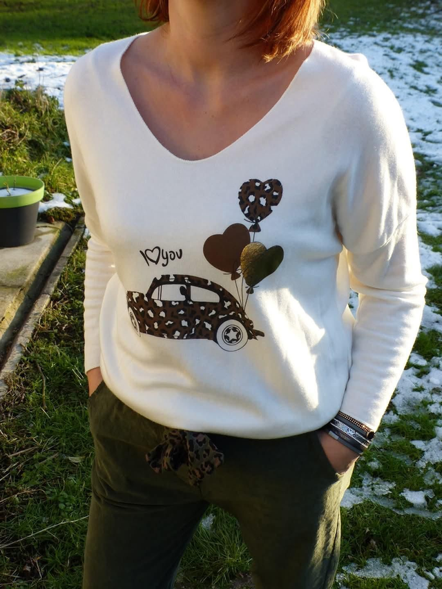 Pull coccinelle 