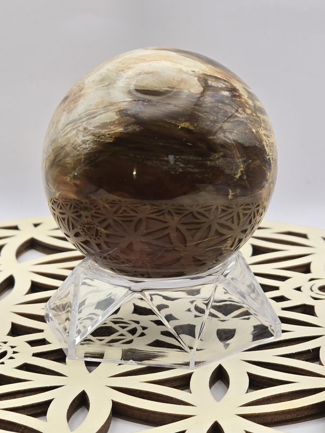 Bois fossilisé forme sphère