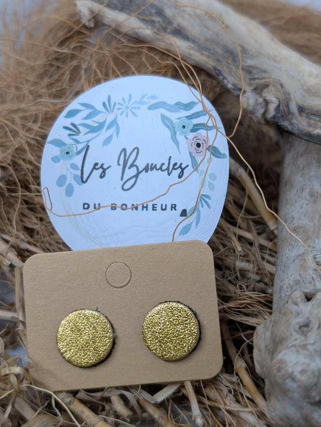 Boucles d'oreilles puces doré pu084