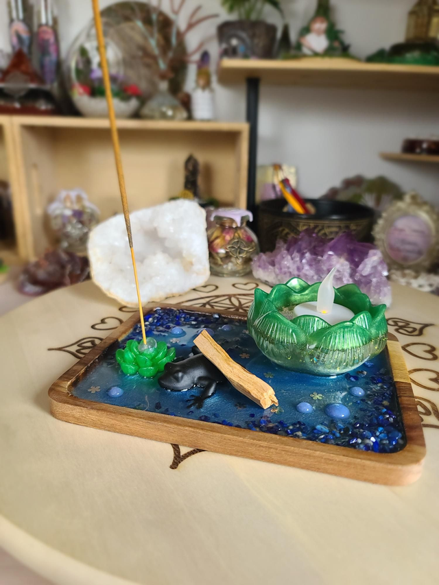 Plateau de fumigation 🐸 Métamorphose de la grenouille rectangulaire