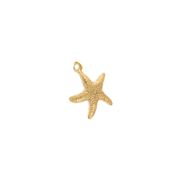 Charm Étoile De Mer