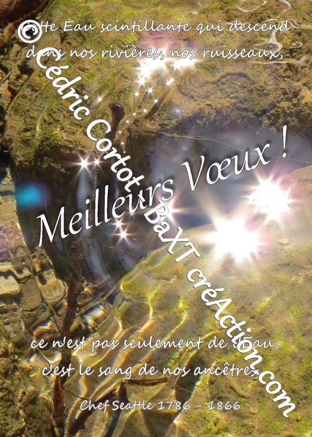 Carte de vœux (Ref Meilleurs Voeux 6)