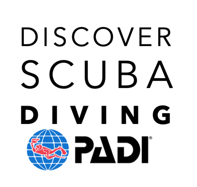 Discover Scuba Diving