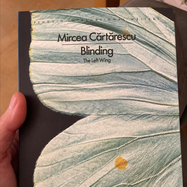 Blinding Mircea Cǎrtǎrescu