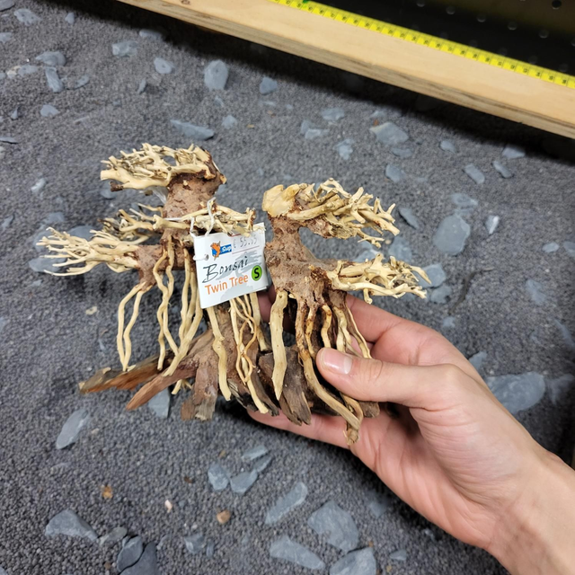 Superfish Bonsai Twin Tree 8715897313455