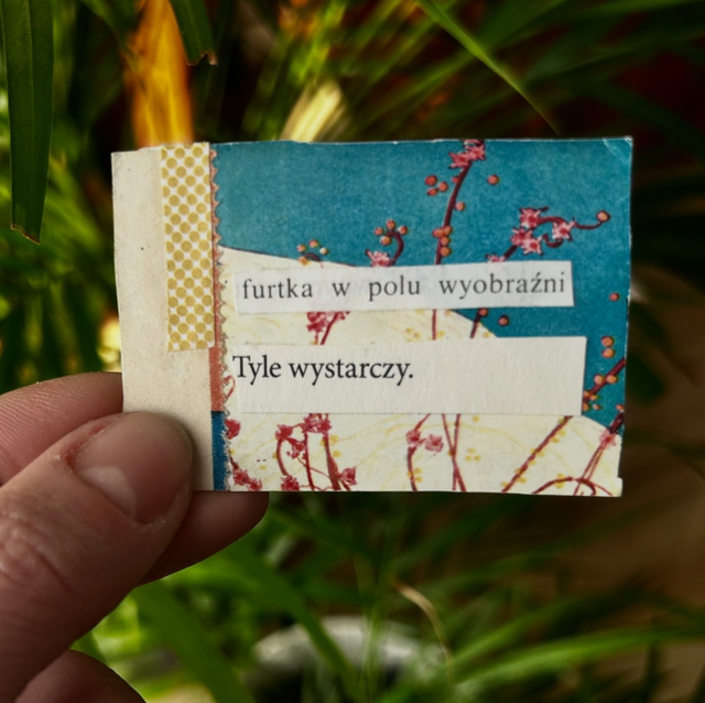 Miniaturka w ramce nr 59 -  furtka wyobraźni