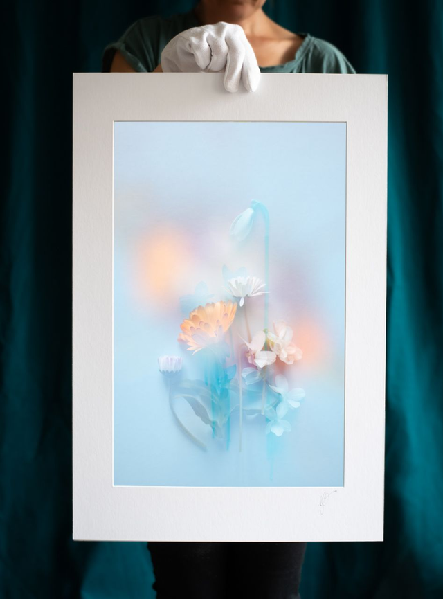 Collection du printemps * 14