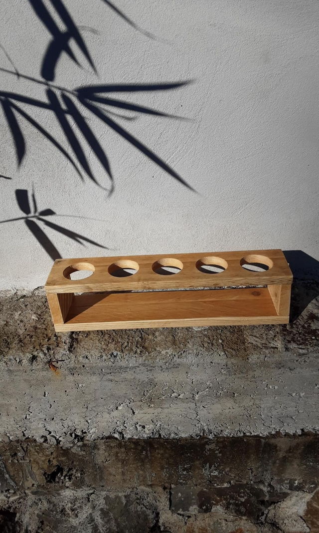 Support de plantes succulentes