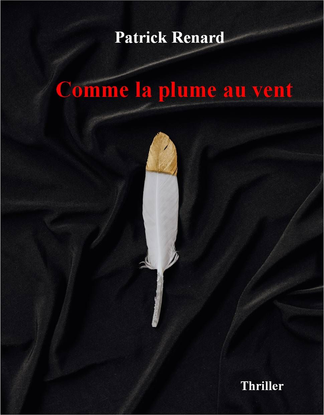 Comme la plume au vent - roman policier