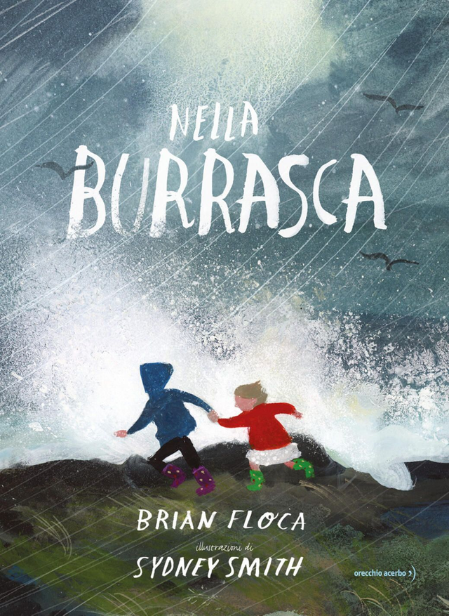 Nella burasca - di Brian Floca illustrazioni di Sydney Smith 