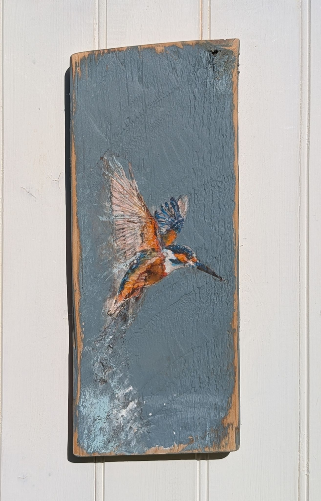 Kingfisher in flight. 