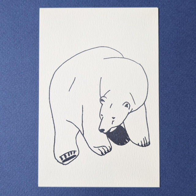 Ours polaire
