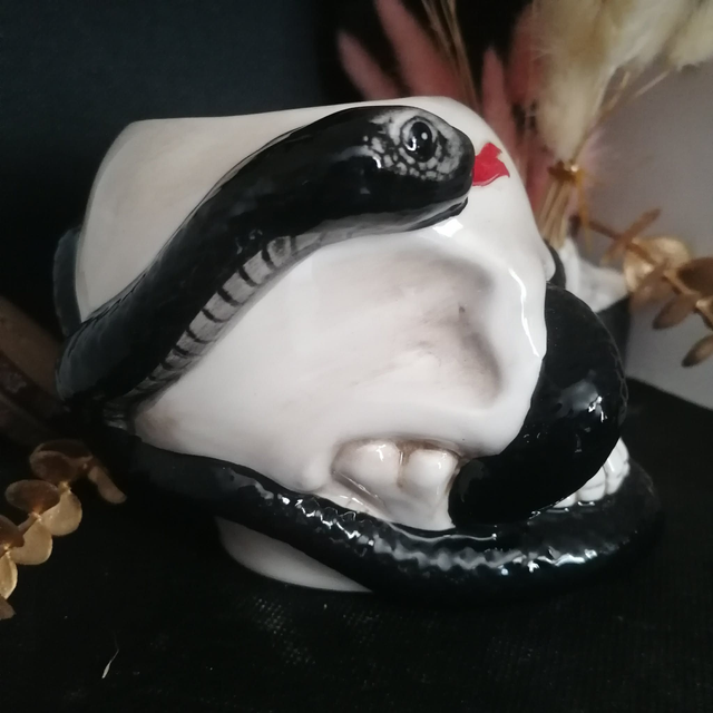 Brûle parfum en Céramique - Crâne et python
