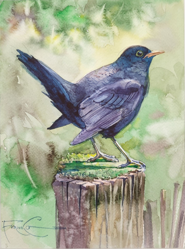 Kos, 35x28 (24x18 w świetle passe-partout) akwarela 2024