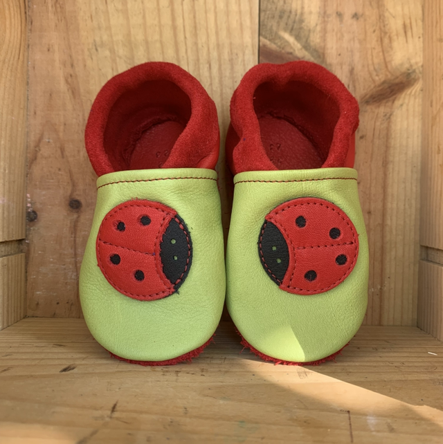 Coccinelle 