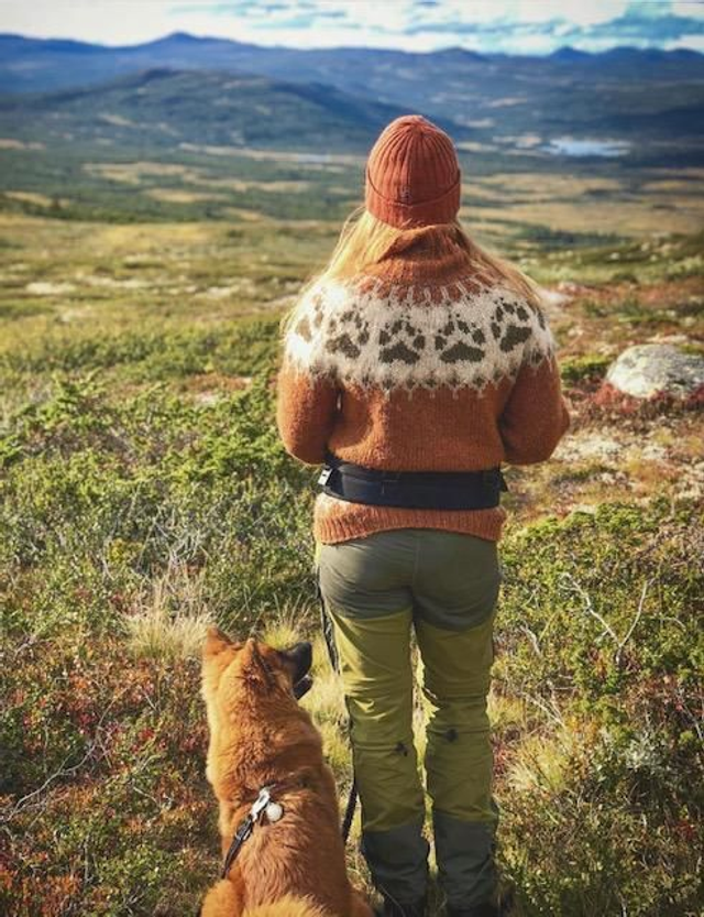 Wilderness Sweater Kit - Col 21 (Amber Álafosslopi) - Wool & Pattern - Linka Neumann