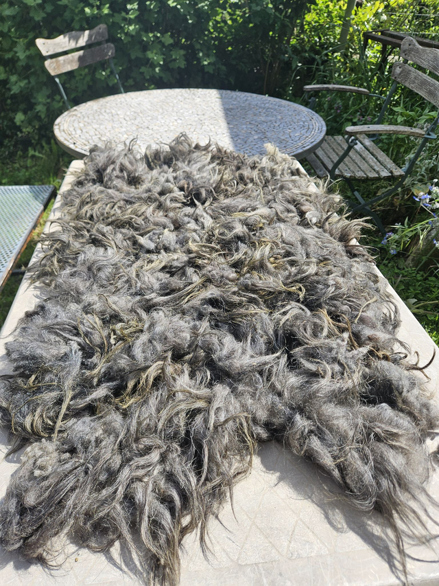 Toison brute "grise"