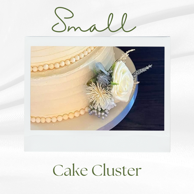 Small Cake Cluster 