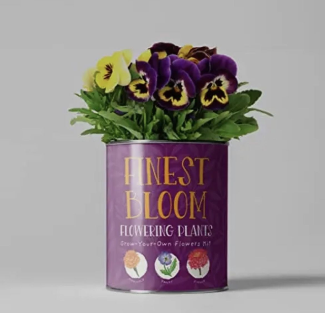 finest bloom botanical kit
