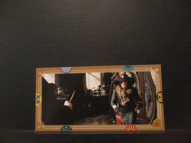Harry Potter Original Trading Card #45