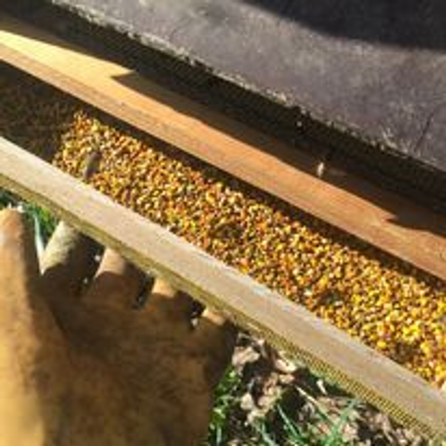 2-Pollen multi florales de l'année 60gr