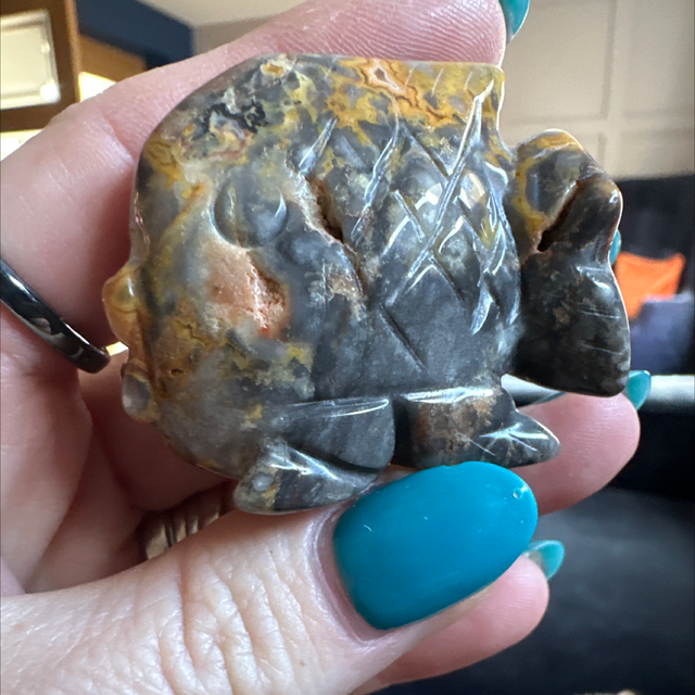 Crazy Lace Agate Fish