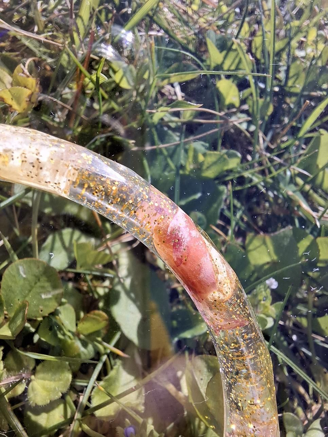 Bracelet fleurs séchées 