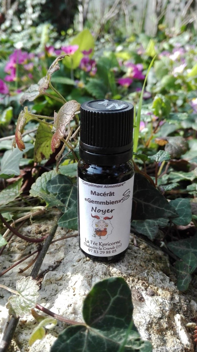 MACERAT DE BOURGEONS de Noyer [BIEN-ETRE Intestinal] 10ml