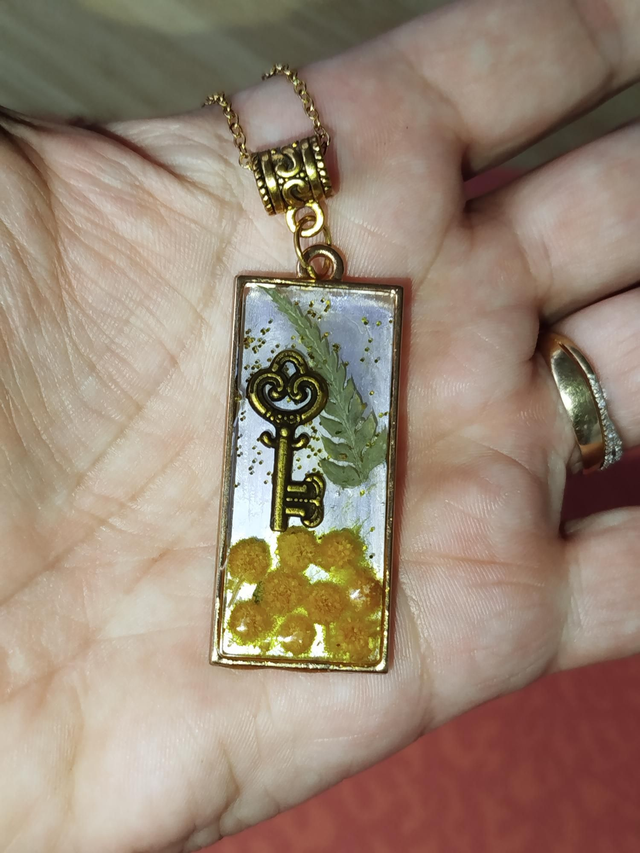 Clé et Mimosa 