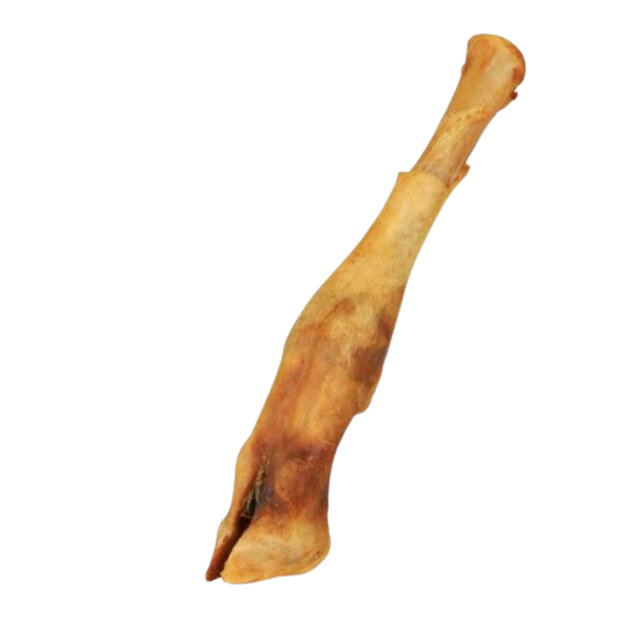 Pied d&#039;agneau 16 à 18 CM