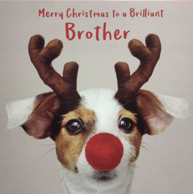 Christmas Brother (Dressed up Dog) GBCC