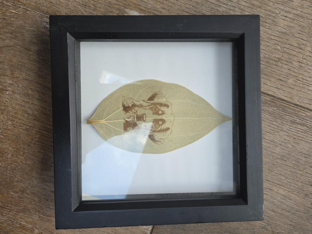 Leaf art