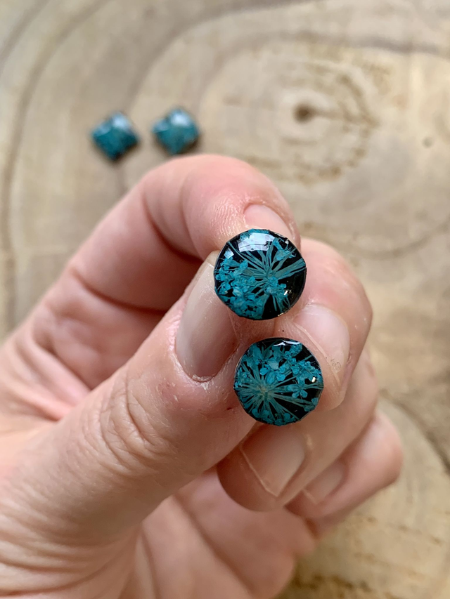 Paire de puces d'oreilles avec fond noir