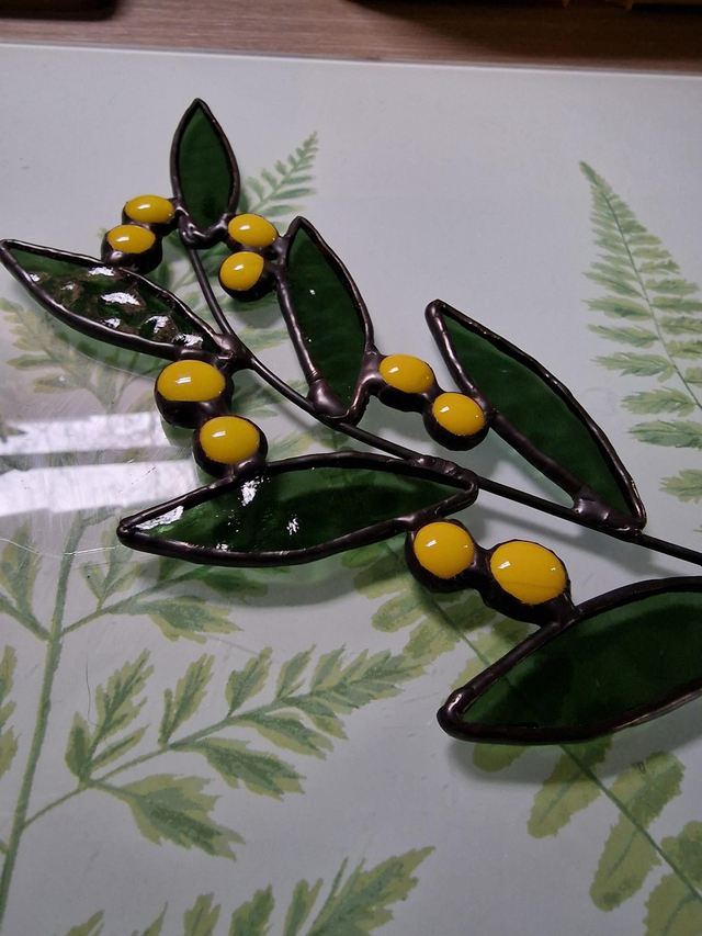 Spring Blooms Mimosa stem 