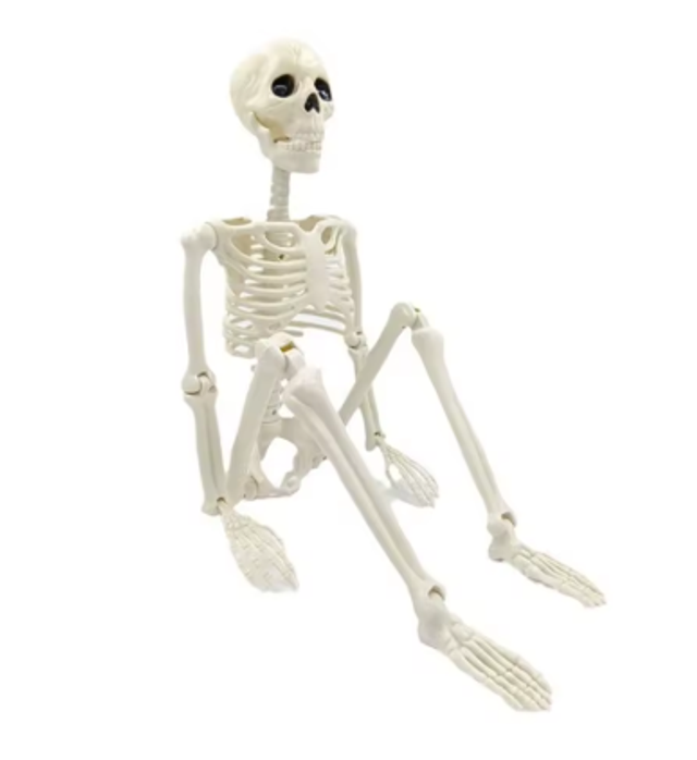 Halloween Skelet Decoratie – Hangend &amp; Beweegbaar