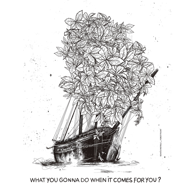 🖤 Le bateau de Forest Pooky