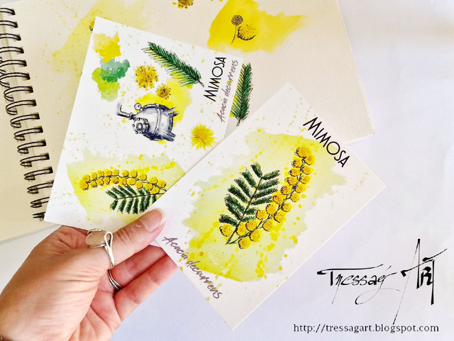 LOT 2 CARTES &quot;PLANTES A PARFUM&quot; de Grasse - Acacia decurrens - Mimosa - TR025001