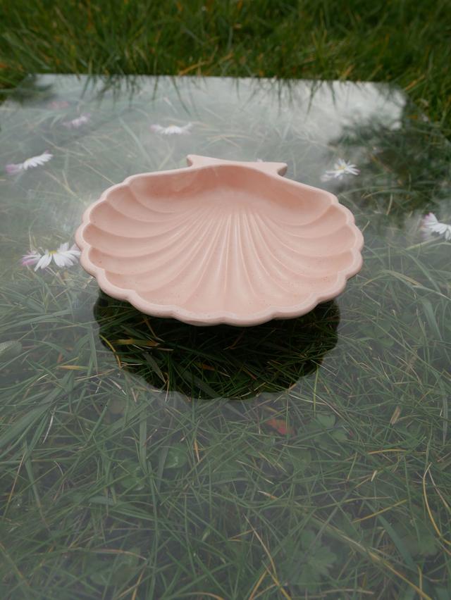 COQUILLE SAINT JACQUES