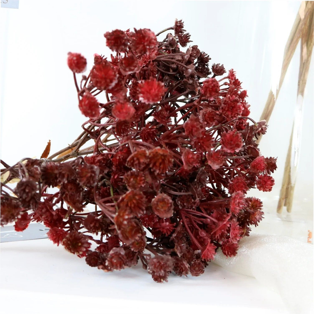 Dried Look Gyp Handtie  Deep red