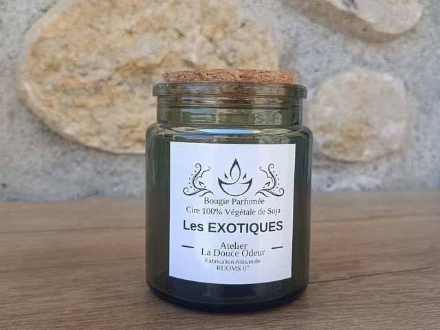 Les EXOTIQUES