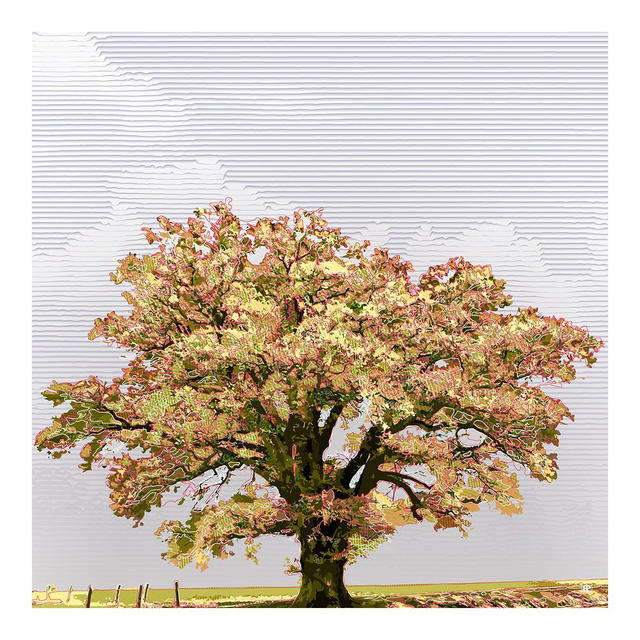 Arb16 - Solo Arbores Flavus 2